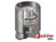 Kolben, Bremssattel Hinterachse AUTOFREN SEINSA D025577K
