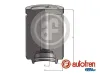 Kolben, Bremssattel Hinterachse AUTOFREN SEINSA D025583
