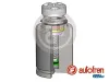 Kolben, Bremssattel Hinterachse AUTOFREN SEINSA D025583RK