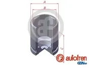 Kolben, Bremssattel Hinterachse AUTOFREN SEINSA D025603