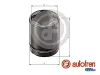 Kolben, Bremssattel Hinterachse AUTOFREN SEINSA D025659