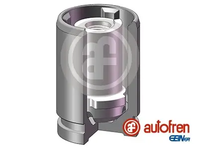 Kolben, Bremssattel Hinterachse AUTOFREN SEINSA D025762K