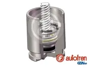 Kolben, Bremssattel Hinterachse AUTOFREN SEINSA D025780K