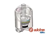 Kolben, Bremssattel Hinterachse AUTOFREN SEINSA D025816K