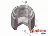 Kolben, Bremssattel Hinterachse AUTOFREN SEINSA D025851