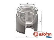 Kolben, Bremssattel Vorderachse AUTOFREN SEINSA D025861