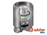 Kolben, Bremssattel Hinterachse AUTOFREN SEINSA D02594K