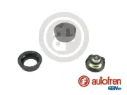 Reparatursatz, Hauptbremszylinder AUTOFREN SEINSA D1040