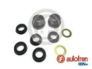 Reparatursatz, Hauptbremszylinder AUTOFREN SEINSA D1070