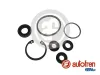 Reparatursatz, Hauptbremszylinder AUTOFREN SEINSA D1263