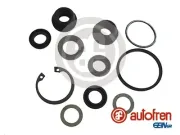 Reparatursatz, Hauptbremszylinder AUTOFREN SEINSA D1569