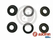 Reparatursatz, Hauptbremszylinder AUTOFREN SEINSA D1851