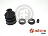 Reparatursatz, Kupplungsnehmerzylinder AUTOFREN SEINSA D3541