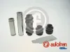 F&uuml;hrungsh&uuml;lsensatz, Bremssattel AUTOFREN SEINSA D7057C