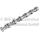 Nockenwelle Auslassseite Einlassseite BF 20100913006