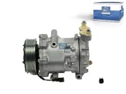 Kompressor, Klimaanlage 12 V DT Spare Parts 13.72002