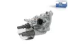 Einspritzventil, Harnstoffeinspritzung DT Spare Parts 13.98105