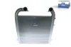 Ladeluftk&uuml;hler DT Spare Parts 1.11479