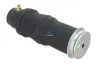 Federbalg, Fahrerhauslagerung DT Spare Parts 1.22408 Bild Federbalg, Fahrerhauslagerung DT Spare Parts 1.22408