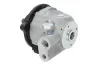 Hydraulikpumpe, Lenkung DT Spare Parts 2.53483 Bild Hydraulikpumpe, Lenkung DT Spare Parts 2.53483