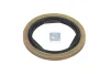 Dichtring DT Spare Parts 2.76130 Bild Dichtring DT Spare Parts 2.76130