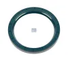 Wellendichtring, Differential vordere Gelenkwelle an Differential DT Spare Parts 4.20635