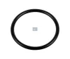 Dichtring DT Spare Parts 4.20680 Bild Dichtring DT Spare Parts 4.20680