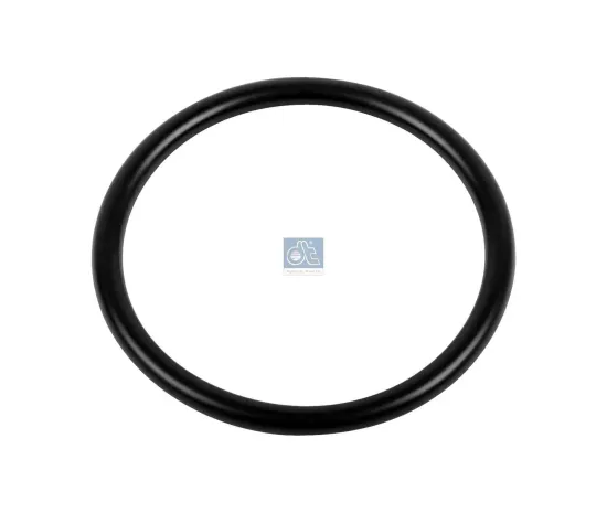 Dichtring DT Spare Parts 4.20680 Bild Dichtring DT Spare Parts 4.20680