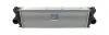 Ladeluftkühler DT Spare Parts 4.66825 Bild Ladeluftkühler DT Spare Parts 4.66825