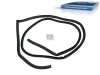 Türdichtung rechts DT Spare Parts 4.80163 Bild Türdichtung rechts DT Spare Parts 4.80163