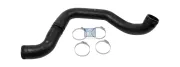 Ladeluftschlauch DT Spare Parts 4.81315SP