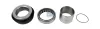 Reparatursatz, Antriebswellenlagerung DT Spare Parts 4.91485