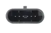 Fahrpedal DT Spare Parts 5.46032 Bild Fahrpedal DT Spare Parts 5.46032