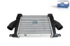 Ladeluftkühler DT Spare Parts 6.00323 Bild Ladeluftkühler DT Spare Parts 6.00323