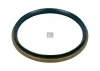 Wellendichtring, Radnabe Hinterachse Vorderachse DT Spare Parts 6.54058 Bild Wellendichtring, Radnabe Hinterachse Vorderachse DT Spare Parts 6.54058