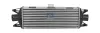 Ladeluftkühler DT Spare Parts 7.21118 Bild Ladeluftkühler DT Spare Parts 7.21118