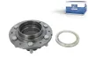 Radnabe Hinterachse DT Spare Parts 7.32022