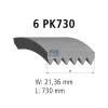 Keilrippenriemen DT Spare Parts 12.15415