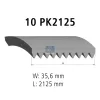 Keilrippenriemen DT Spare Parts 2.15557 Bild Keilrippenriemen DT Spare Parts 2.15557