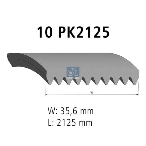 Keilrippenriemen DT Spare Parts 2.15557 Bild Keilrippenriemen DT Spare Parts 2.15557