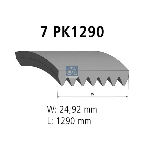 Keilrippenriemen DT Spare Parts 4.81421 Bild Keilrippenriemen DT Spare Parts 4.81421