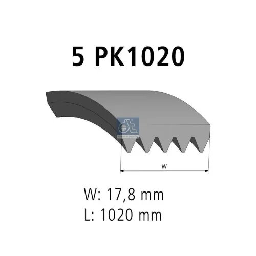 Keilrippenriemen DT Spare Parts 6.31501 Bild Keilrippenriemen DT Spare Parts 6.31501