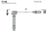 Zündleitungssatz TESLA T579B