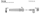 Zündleitungssatz TESLA T923B