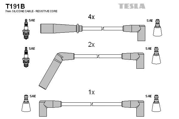 Zündleitungssatz TESLA T191B
