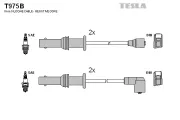 Zündleitungssatz TESLA T975B