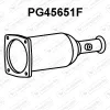 Ruß-/Partikelfilter, Abgasanlage VENEPORTE PG45651F