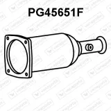 Ruß-/Partikelfilter, Abgasanlage VENEPORTE PG45651F