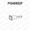 Ruß-/Partikelfilter, Abgasanlage VENEPORTE PG45852F