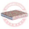 Filter, Innenraumluft MASTER-SPORT GERMANY 20006-IFB-PCS-MS Bild Filter, Innenraumluft MASTER-SPORT GERMANY 20006-IFB-PCS-MS